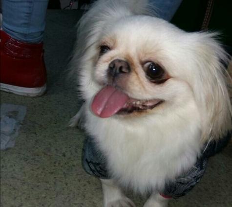 adi nazadi pikinesdi itibdi xirdalan erazisinde kim tapsa mukafatlandi