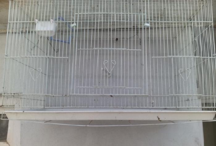 qefes satilir cox az iwlebib. Eni hundurluyu 46sm  uzunu 77 sm