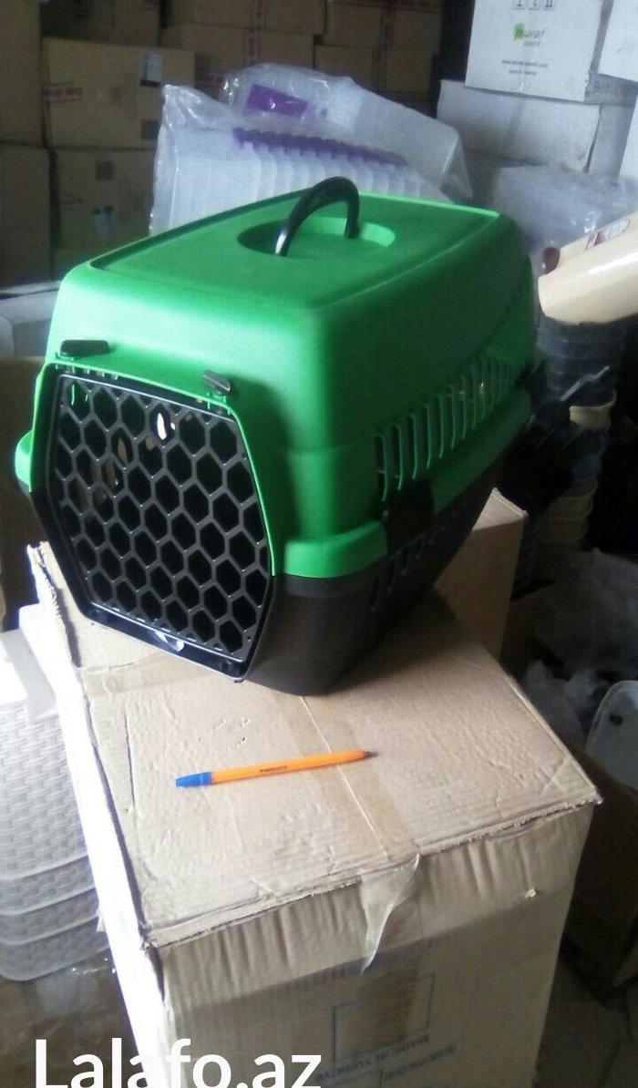 Qəfəs yenidir, whatsapp aktivdir və ya nömrəyə zəng edib maraqlana bil