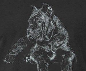 Орижинал италиян масивлари кане коросо сенетли пасапортлу алычынын ады