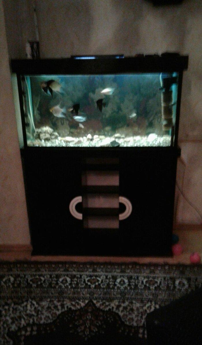 Uzunlugu 1 metr eni 40 hundurluyu 55. ATLIGI ILE BIR SATILIR. TEZEDI .