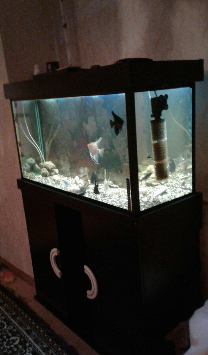 Uzunlugu 1 metr eni 40 hundurluyu 55. ATLIGI ILE BIR SATILIR. TEZEDI .