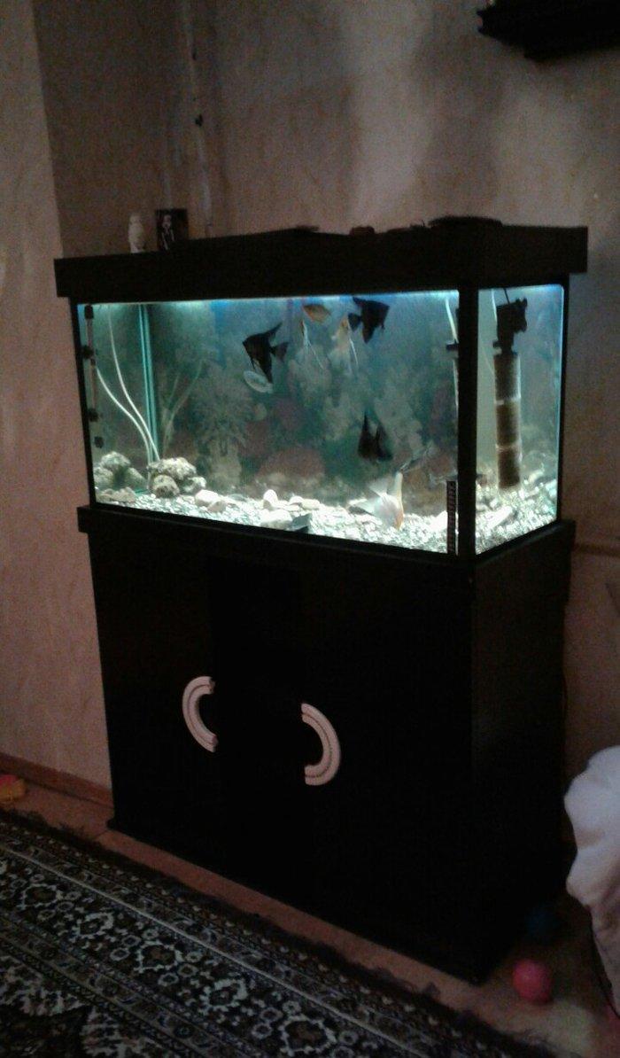 Uzunlugu 1 metr eni 40 hundurluyu 55. ATLIGI ILE BIR SATILIR. TEZEDI .