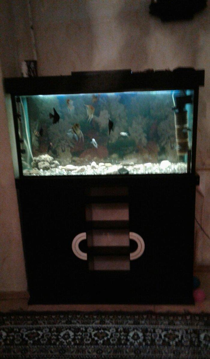 Uzunlugu 1 metr eni 40 hundurluyu 55. ATLIGI ILE BIR SATILIR. TEZEDI .