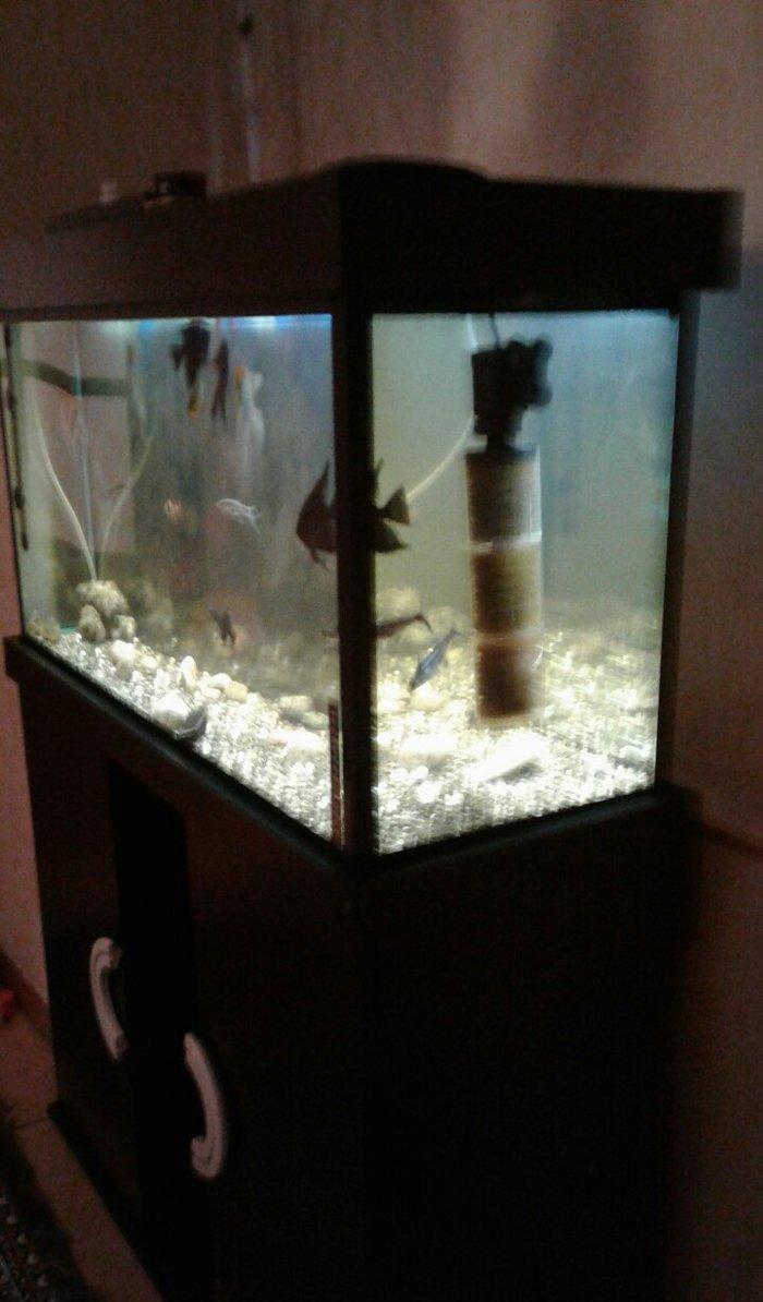 Uzunlugu 1 metr eni 40 hundurluyu 55. ATLIGI ILE BIR SATILIR. TEZEDI .