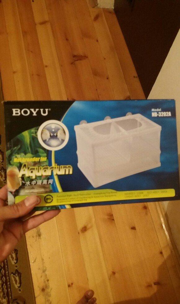 akvarium ucun balığların doğum qabı iki və daha çox balığın bir anda d