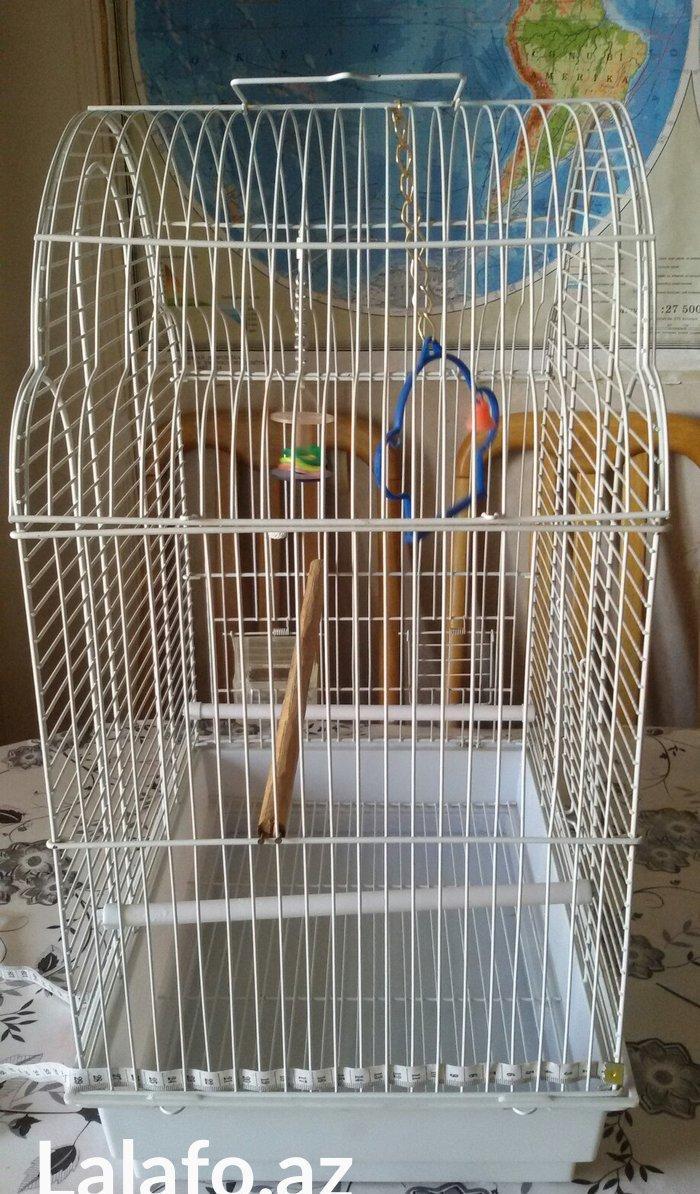 Quş yuvası satılır. Az istifadə olunub. Ölçüləri şəkildə görünür. Cidd