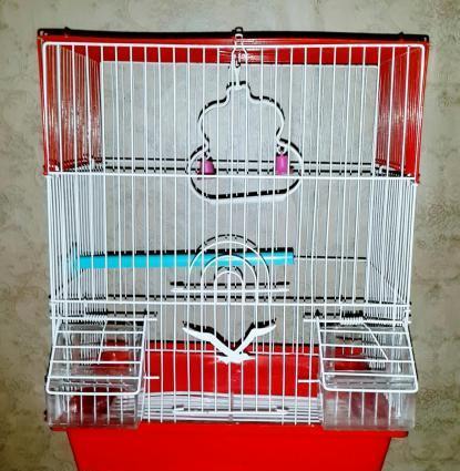 Iri qefes satilir. Su qabi , yem qabi, papuqay durmasi ucun cubuq ve