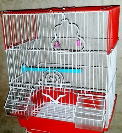 Iri qefes satilir. Su qabi , yem qabi, papuqay durmasi ucun cubuq ve