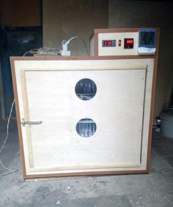 isdenilen yumurta sayına görə inkubatorlar yiqilir tam aftamat və zəma