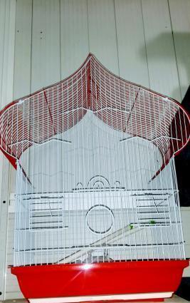 Iri qefes satilir. Su qabi , yem qabi,   papuqay  durmasi ucun cubuq v