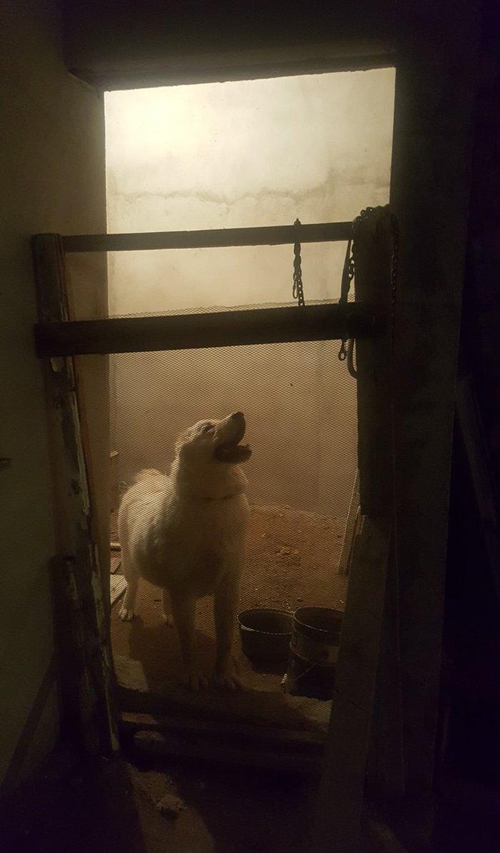 Alabay
 1 yasi var disidi bala vermiyib helem  cox gozel itdi 
baxmaq