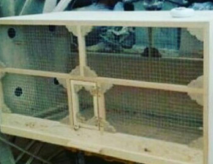 QEFES. UZUNU 1 M, ENI 50 SM, HÜNDÜRLÜY 50 SM. 75 MAN. Tel.