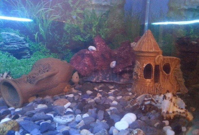 Aksesuarlari ile birlikde satilir. Hundurluyu 0. 50m. Eni. 0. 50m. Uzu