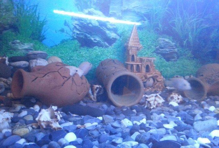 Aksesuarlari ile birlikde satilir. Hundurluyu 0. 50m. Eni. 0. 50m. Uzu