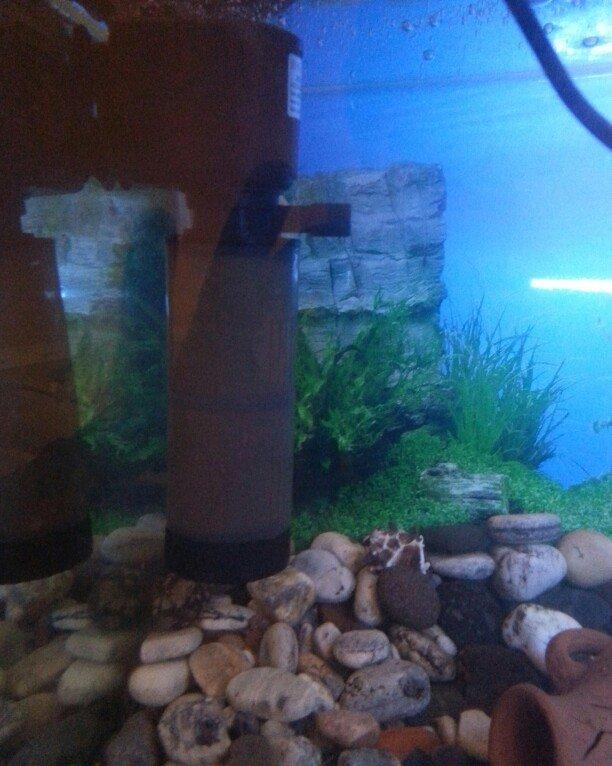 Aksesuarlari ile birlikde satilir. Hundurluyu 0. 50m. Eni. 0. 50m. Uzu