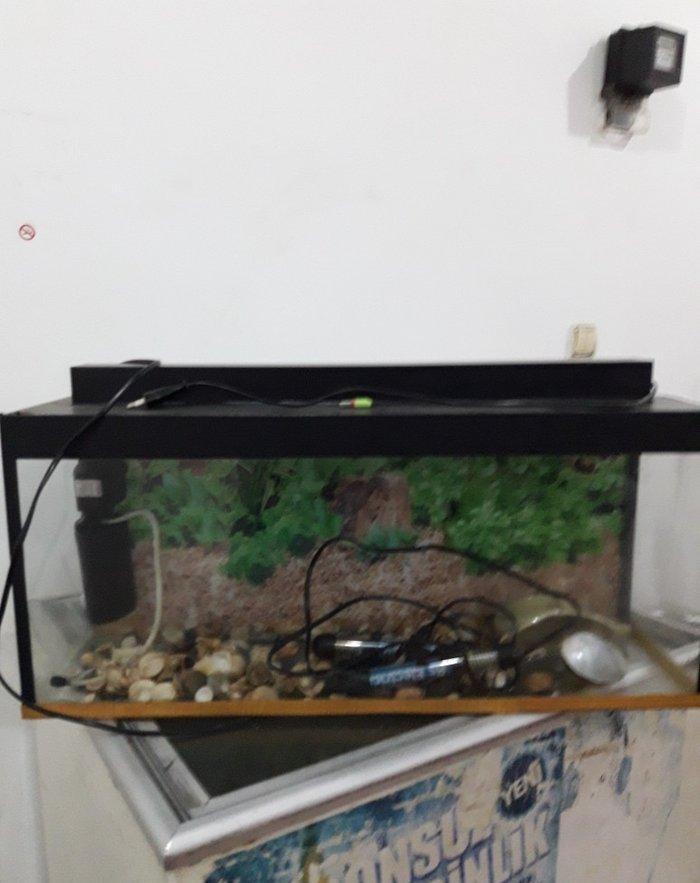 akvarium icinde matoru spiral ve icindeki aksesuarlar ile birlikde sat