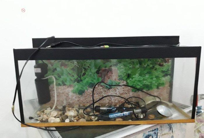 akvarium icinde matoru spiral ve icindeki aksesuarlar ile birlikde sat