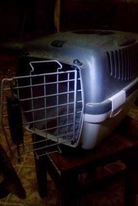 pro qefes,  Mawinla ve ya el ile heyvanlari rahat zerersiz ve