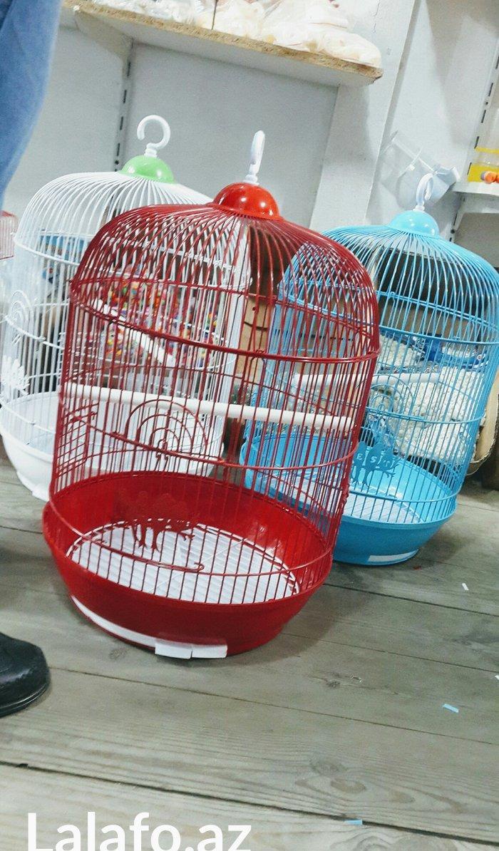 teze iri qefes satilir. Su qabi,yem qabi, cubuqu ,aksesuari her weyi v