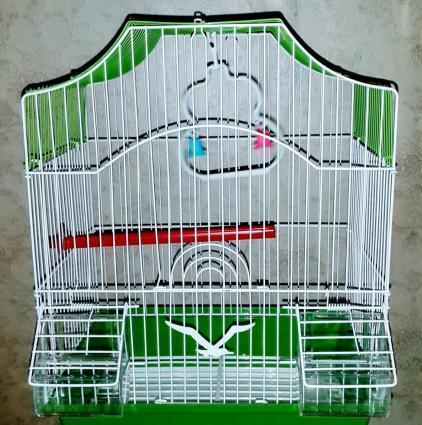 Iri qefes satilir. Su qabi , yem qabi, papuqay durmasi ucun cubuq v