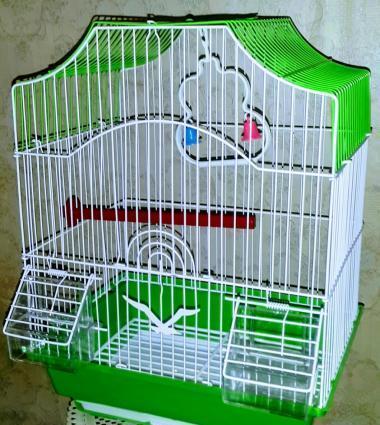 Iri qefes satilir. Su qabi , yem qabi, papuqay durmasi ucun cubuq v