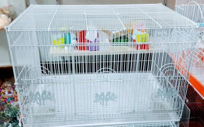 Iri teze qefes satilir. 65×45×45 ara kesmeside var istesez 2 qefes kim