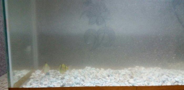 Akvarium  mator, icinin dasi ,isiq  eni21sm  hundurluyu 29 uzunlugu 44