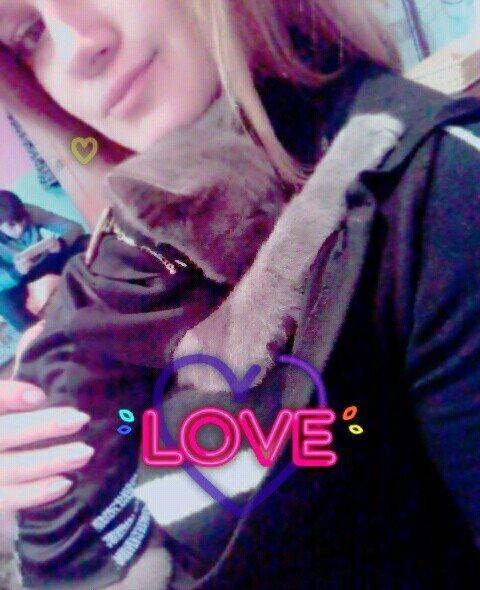 Rusakaya qalubaya paroda adlanan boz piwik satiram cox sakit ve mehrib