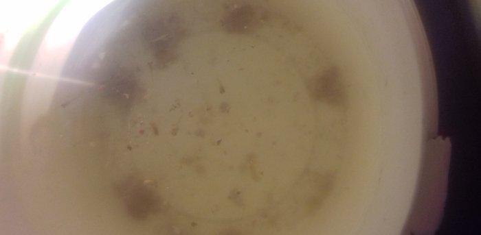 Tecili akvarium satilir 2 eded. Icinde baliqlari dasi tebi otu isigi