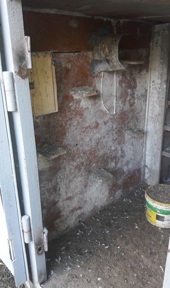 Tecili satilir real aliciya endirim var fikri ciddi wexler narahat ets