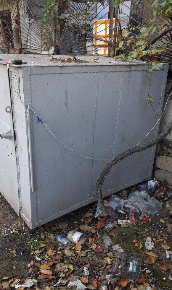 Tecili satilir real aliciya endirim var fikri ciddi wexler narahat ets