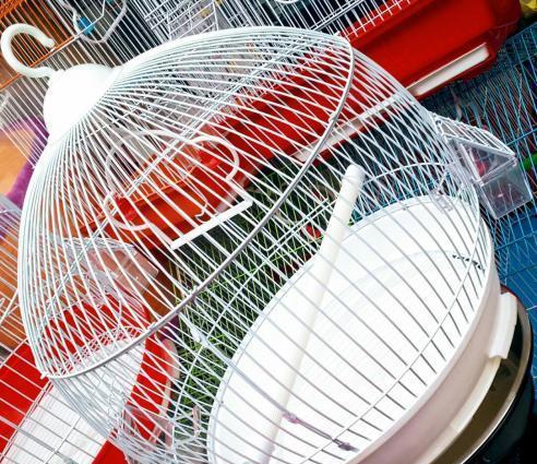 Teze yumru iri qefes satilir . Su qabi,Yem qabi, durmasi ucun cubuq+