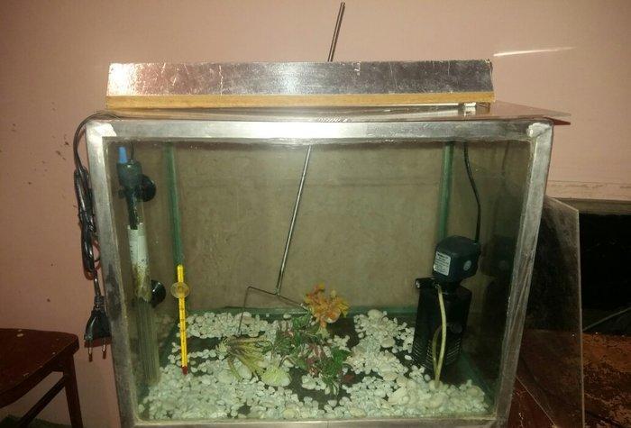 gördüyünüz kimi hər şeyi var balığı burax yaşasın qiymət 80 manat