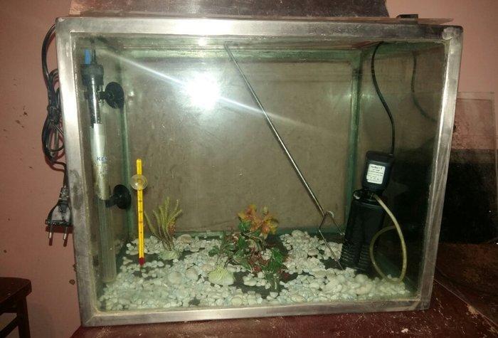 gördüyünüz kimi hər şeyi var balığı burax yaşasın qiymət 80 manat