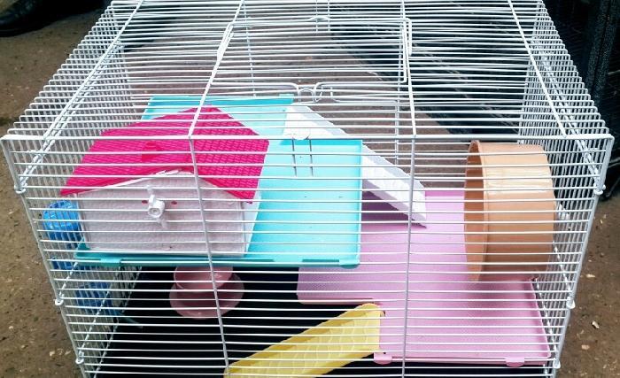 Xamyakcun iri teze qefes satilir. Wekilde ne gorursuz ustunde verilir.