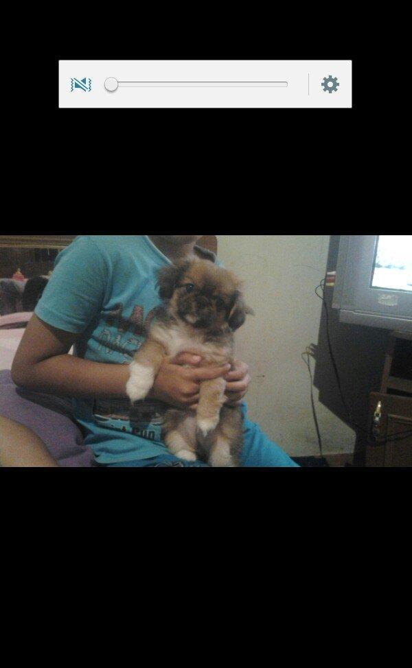 pikines 5 ayliq qizdi iynalar vurulup 170 m cidti wahslara zank vursun