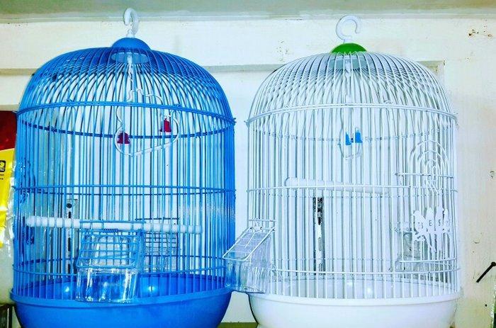 Teze iri gozel gorunuwlu qefesler satilir. Butun her bir weyi ustunde