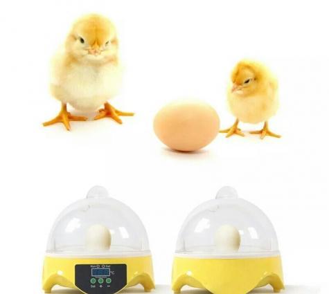 7 yumurtalıq İnkubator
yeni ,qutusunda 7 yumurtalıq İnkubator satılır