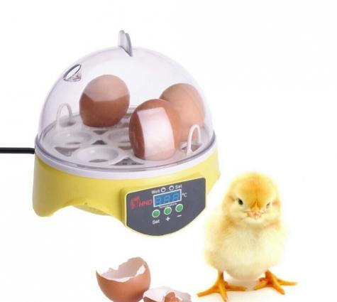 7 yumurtalıq İnkubator
yeni ,qutusunda 7 yumurtalıq İnkubator satılır