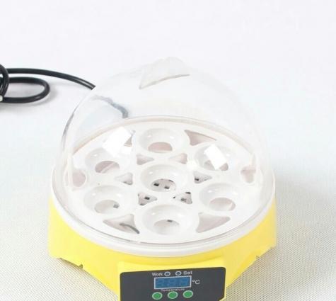 7 yumurtalıq İnkubator
yeni ,qutusunda 7 yumurtalıq İnkubator satılır