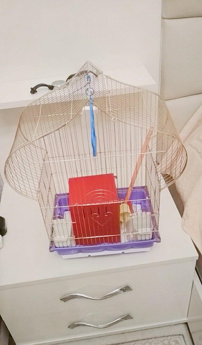 quş qefesi. ela veziyyetdedir.yuvasi yem qabi. su qabi. qum qabi. yell