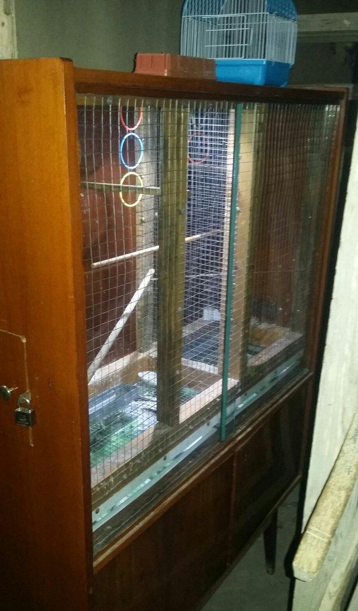 papuqaylar üçün iri qəfəsdi iki yuvası, işıqı, yay qapısı, qış qapısı