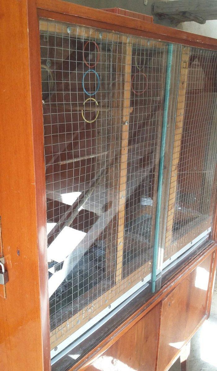 papuqaylar üçün iri qəfəsdi iki yuvası, işıqı, yay qapısı, qış qapısı