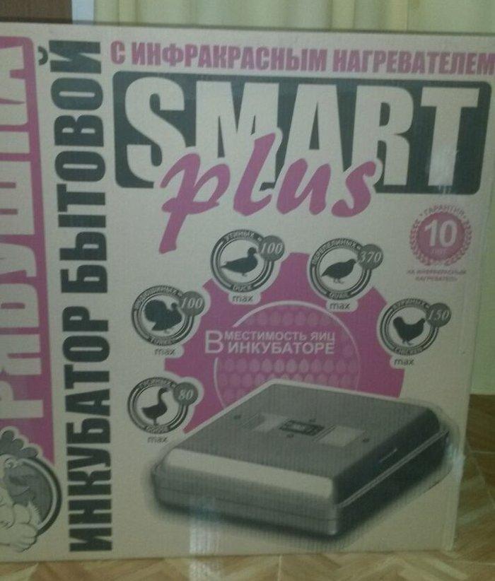 Inkubator rabuwka... 150 toyuq... 370 bildircin... 100 ordek... 100 hi