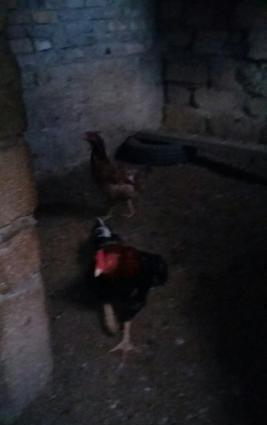 Salam heyratini 45manata satiram. Sumqayit səhəri corat qəsəbəsi dəniz