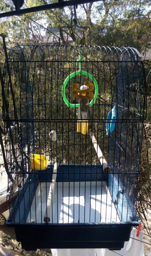 клетка для птиц использовалась мало кормушка и поилка прилагается .gus