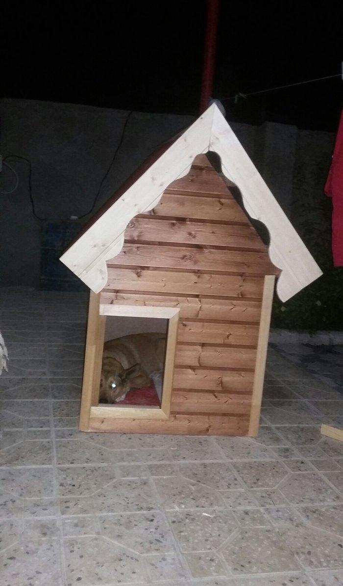 It ucun yuva ici izalasiya olunub normal it rahat yerlewer icine. Bawq