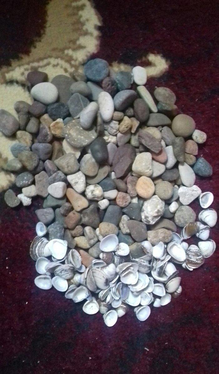 GENCEDE SATILIR.. EL IŞI DÜZELTMEK ÜÇÜN BALIG QULAGLARI VE TEBII DEKOR