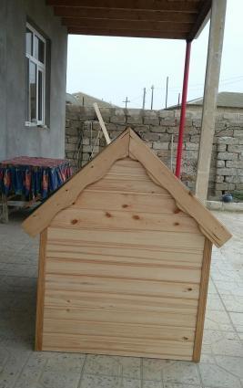 it yivasi. olculer yaxwidi her olcude it yerwer icene. laklanib. ico i